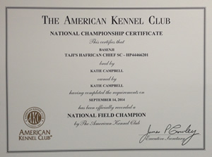 Weeks after Chief’s triumph, Campbell received this National Championship Certificate from the AKC.