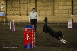Sage watches Pace clear a double jump and make a turn to the tunnel. 