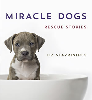 MiracleDogsA