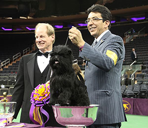 Everyone's all smiles here, including Dougherty, handler Ernesto Lara and this year's Westminster popular winner, Banana Joe, the Affenpinscher, who makes himself comfortable in the winner's bowl.