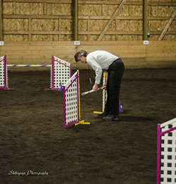 Sometimes the agility judge is responsible for setting the bars for correct height. 