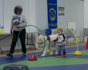 Pawsabilities head trainer Dana Babb keeps a close eye on Luke and Snoopy as they maneuver through a mix of equipment in the puppy-training class.