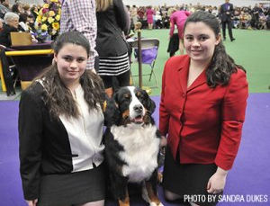 These Westminster show dogs leave<br> their special marks outside the ring, too