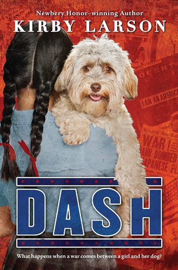 Dash_highrescover