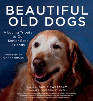 Beautiful Old Dogs