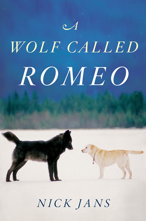 A WOLF CALLED ROMEO Cover