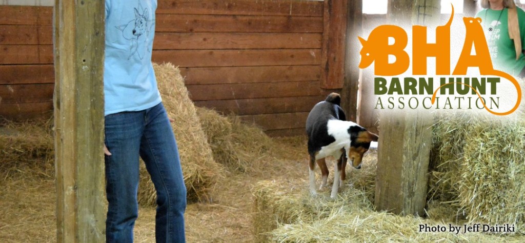 barn-hunt-post