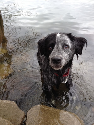 Jackson seems to be saying, “Please put your camera down and throw the ball again. I know we don’t have all day.”