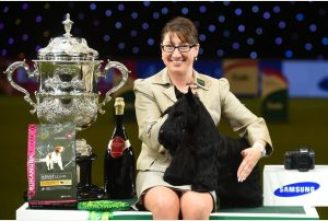 Knopa, the Scottish Terrier, with handler Rebecca Cross Photo: Joe Giddens/PA Wire