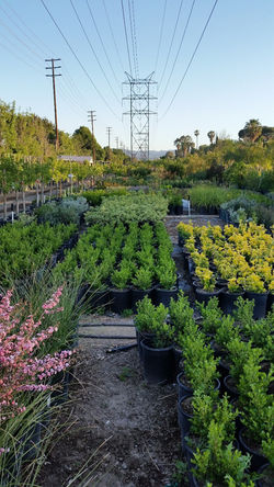 20160326_182922_edited