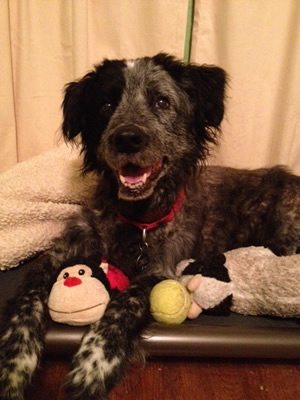 Hanging out with his stuffed ladybug was one of Jackson’s favorite pastimes
