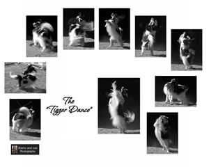 Tigger Dance Collage_Small