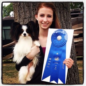Another Wilcox visitor from Iceland, Erna Sigridur Omarsdottir, won three Toy Group 1s during her stay. Here she holds GCH La Ren Royal Heir Jareaux (Chaz), a Papillon.
