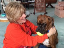 Gus’s owner, Lissa Brown, of Flourtown, Pa., is thrilled to have the young dog healthy after it was on death’s doorstep with heart issues. Gus was seen by three veterinary cardiologists, the latter performing a life-saving cardiac ablation procedure in Cincinnati.