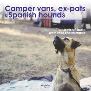 Camper vans