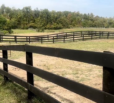 Horse Fence in a field stained with ESS Black.