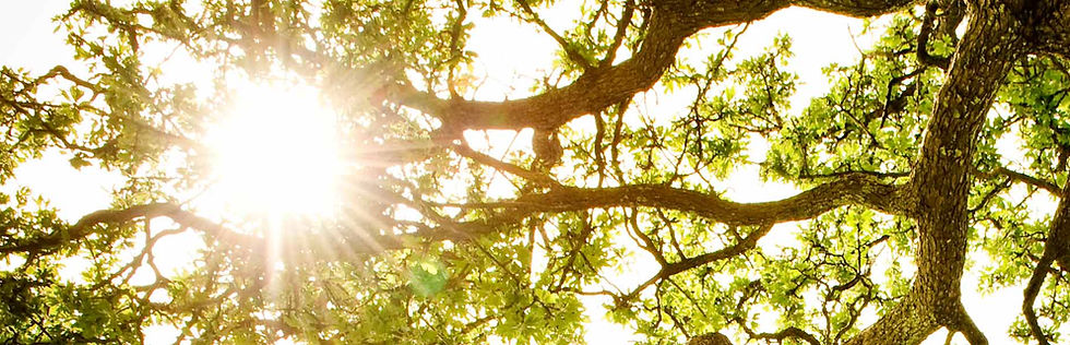 Welcome sunshine...