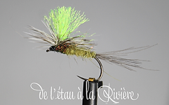 parachute (Copier).png