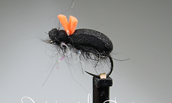 scarabee (Copier).png