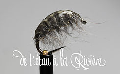 gam lievre gris(copier).jpg