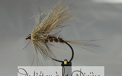 Sans titre (Copier).png