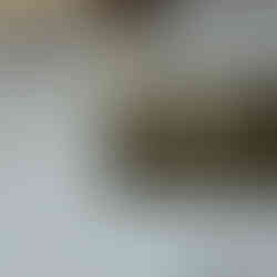 額外牆面布置+軟性黑板