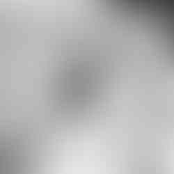 Helen rips up the flooring with her golden retriever puppy sitting nearby