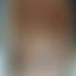 The summerhouse interior clad in OSB