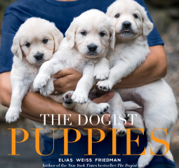 The Dogist - Puppies