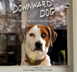 Caturday Reads: Downward Dog - Very Serious Haiku from a Very Serious Dog