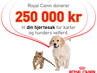 Nominer din hjertesak!