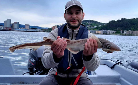 blackmouth_catshark_trondheim_fishing