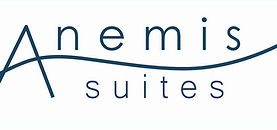 Anemis Logo_edited.jpg