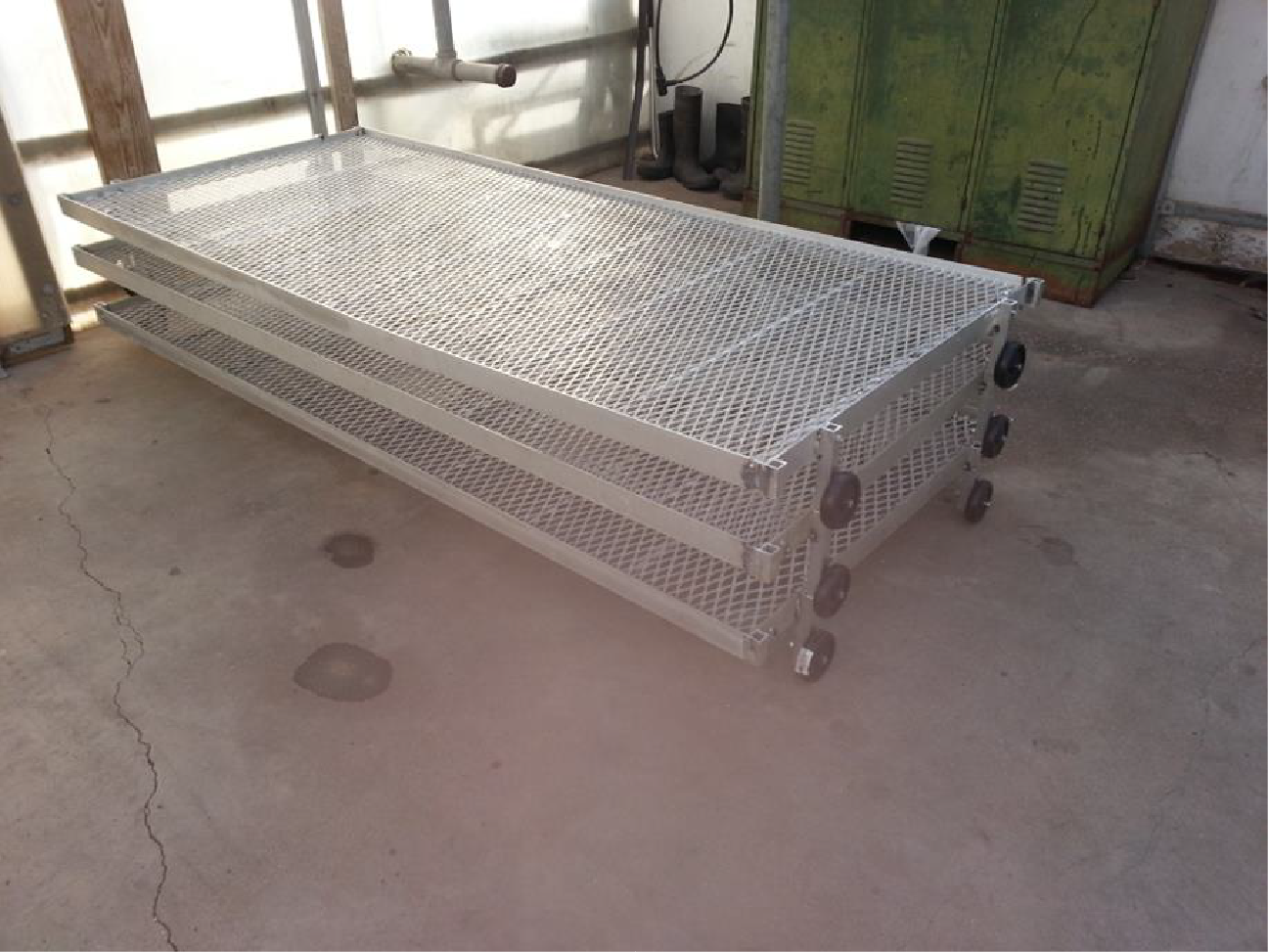 Young Plant Inputs Handling Systems