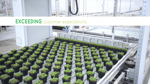 Potted Herb Spacing Systems | Dynamicags