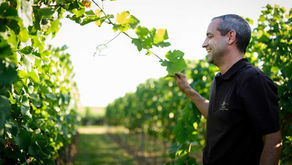 „Dir muss ES schmecken!“ ist die Devise des Weingut Ellermann & Spiegel aus der Pfalz
