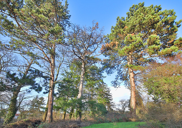Anwesen mit Park Brettenr_AVATHUS immobilien Bretten Bruchsal Karlsruhe Heidelberg Pforzheim Heilbronn