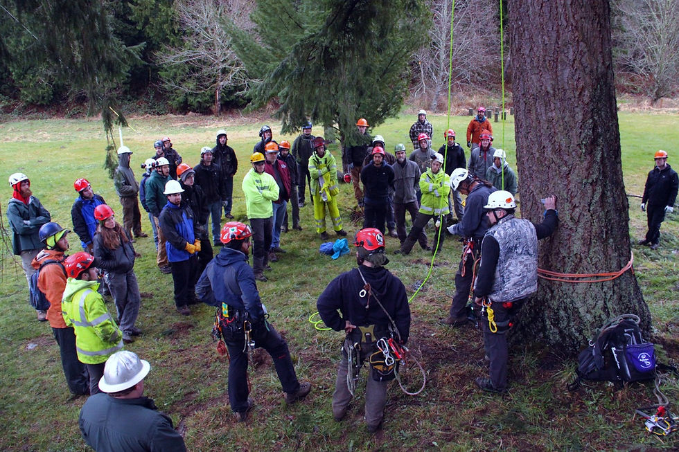 20120303_SRT Seminar_0291_edited.jpg