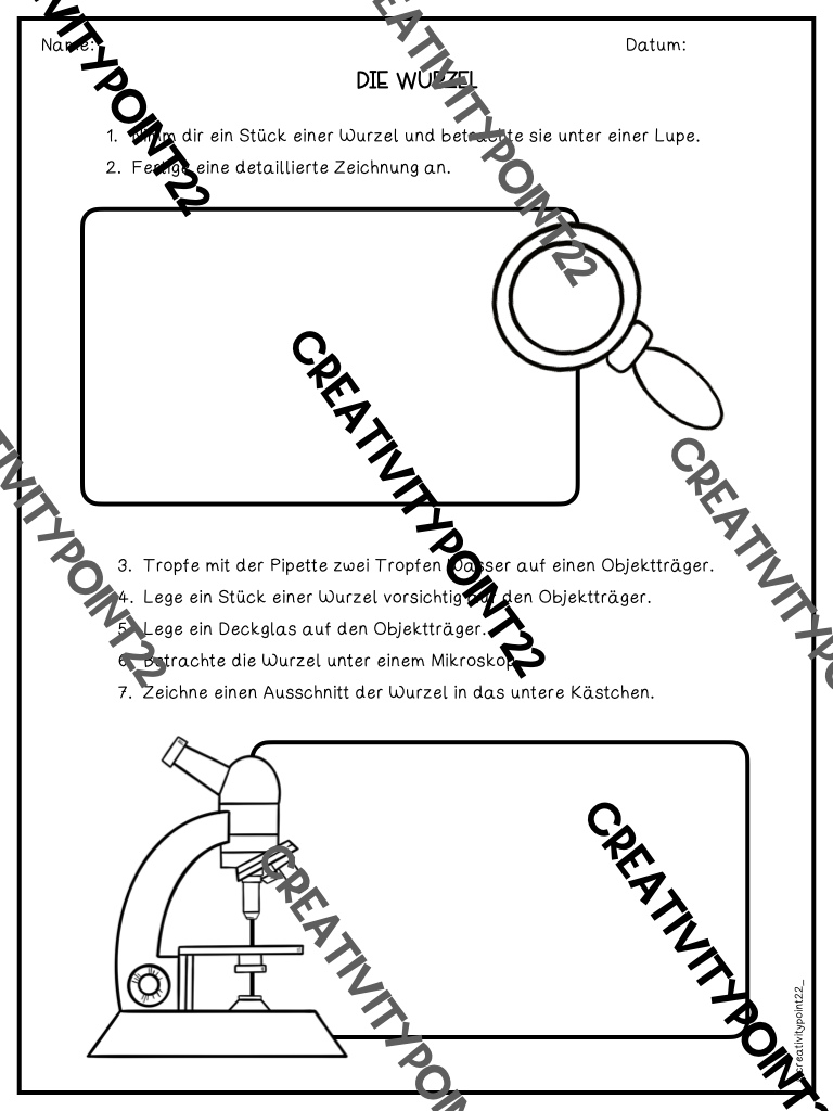 Miniaturbild: Aufbau und Funktion von Blütenpflanzen