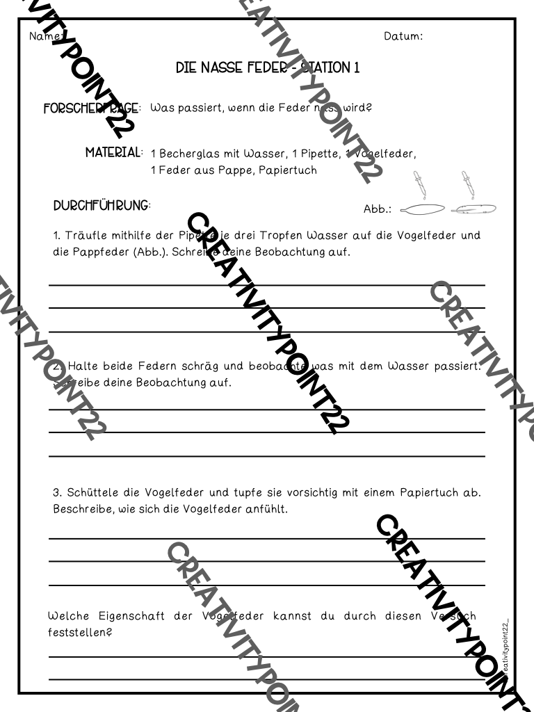 Miniaturbild: Vögel Materialpaket