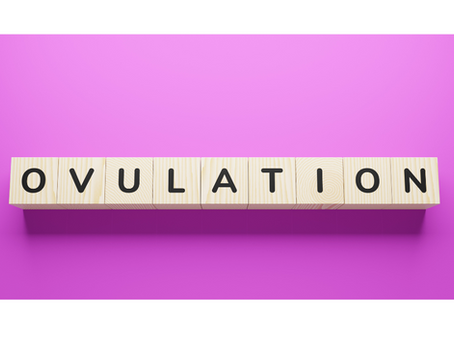 Ovulation is a Key Indicator of Health – Even If You’re Not Trying to Conceive