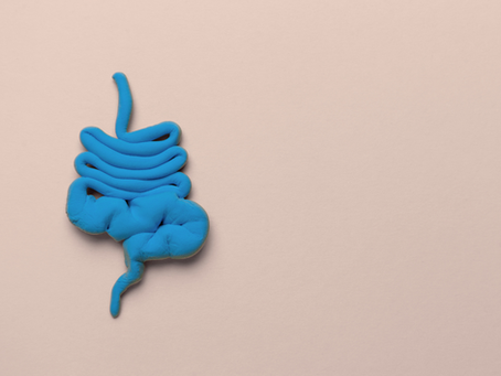 Understanding IBS