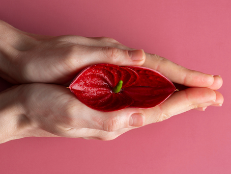 Genitourinary Syndrome of Menopause (GSM): More Than Just Dryness