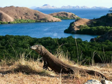 6 Tempat Wisata di Labuan Bajo Yang Wajib Dikunjungi