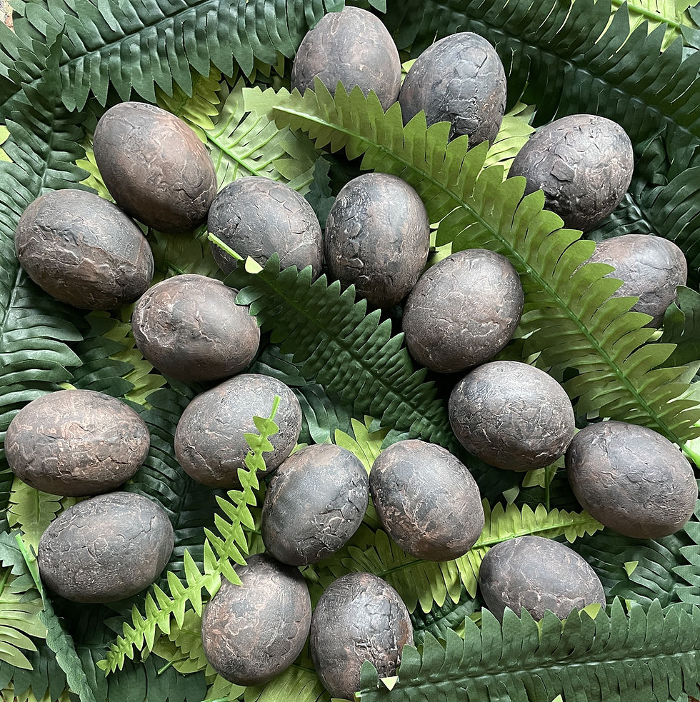 eggs 2.JPG