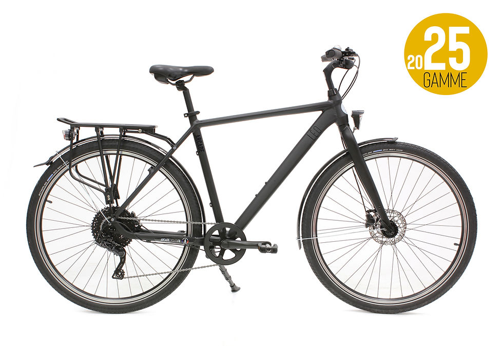 Vélo Arcade Léo 2025 noir