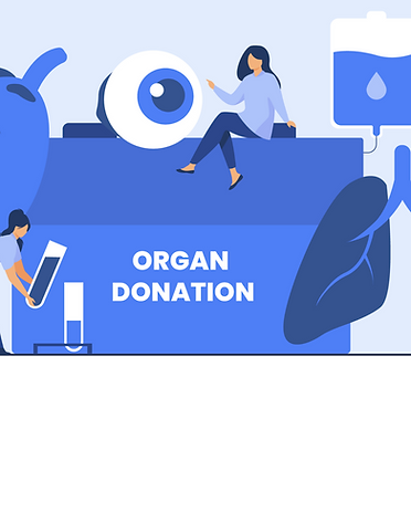 Screenshot 2022-07-19 at 7.23.09 PM.png