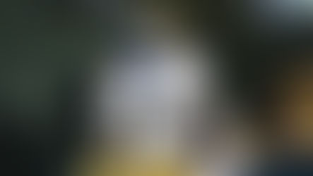 Jeremiyah Love: A Look Back at a Legendary Notre Dame Career