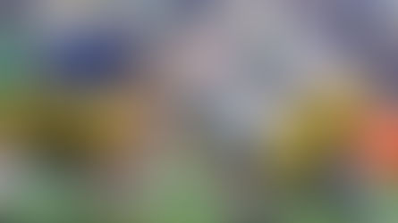 Can Notre Dame Bounce Back Against Purdue? IT Staff Predictions