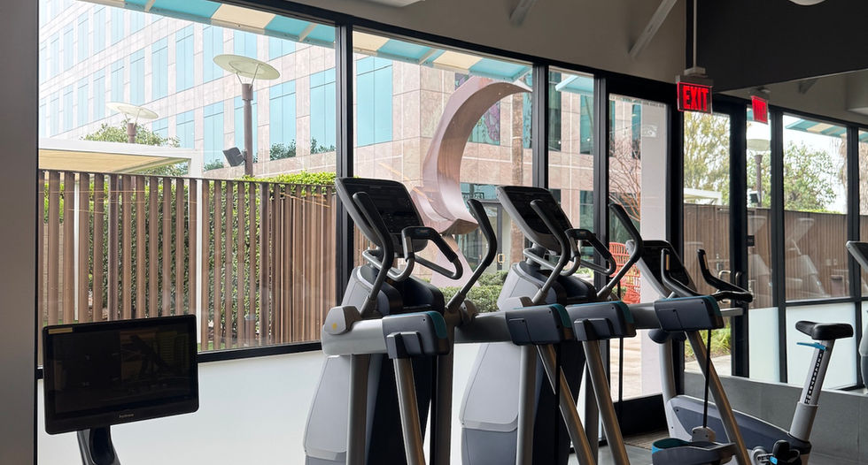 Row machine next to some eliptical machines 